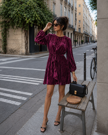 The Seraphine Velvet Mini